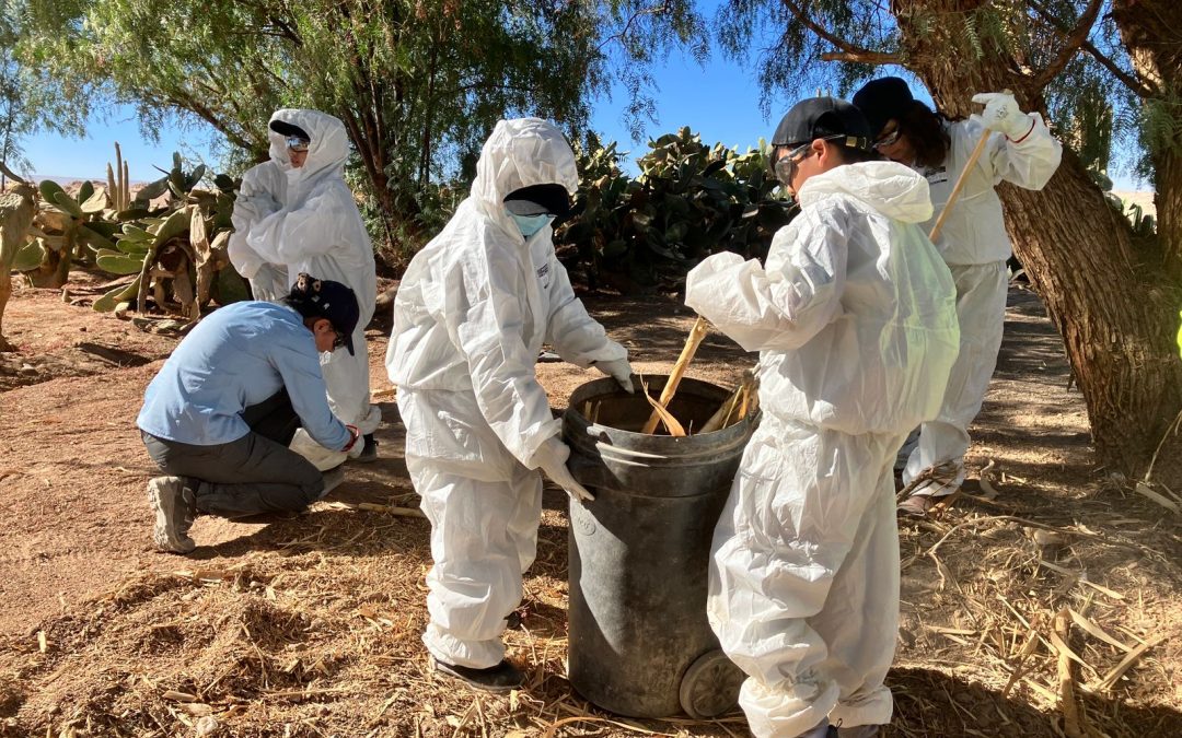 Limpieza comunitaria: unidos para recuperar “Pulmón Verde” de Sierra Gorda