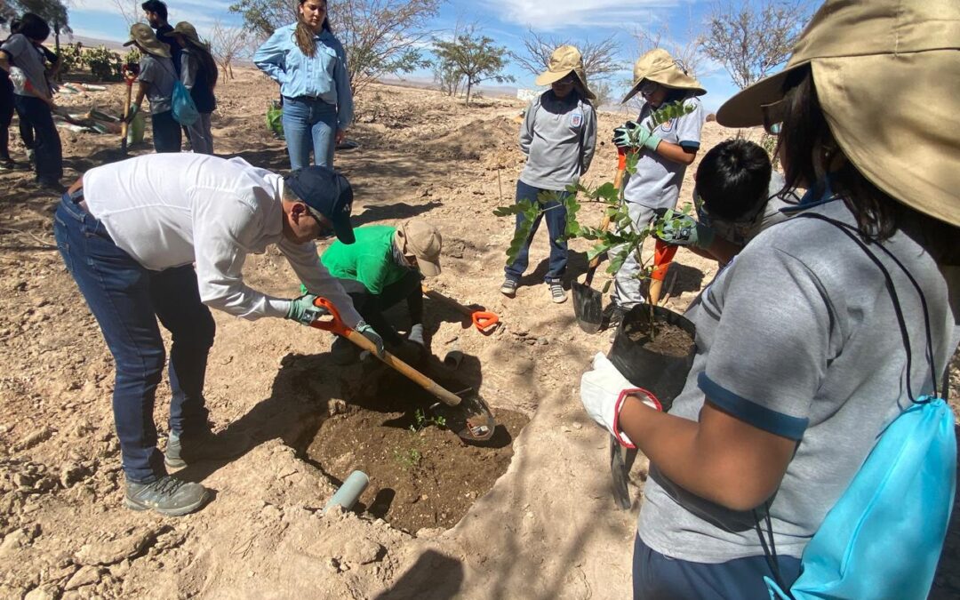 Vecinos de Sierra Gorda cerraron programa comunitario con reforestación de ‘Pulmón Verde’