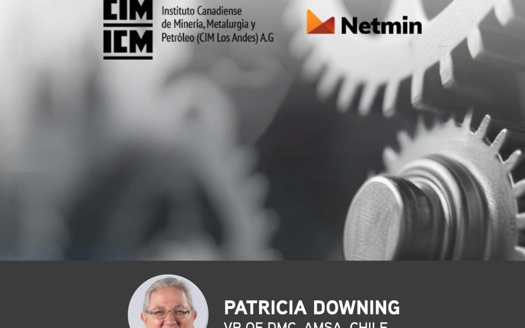 Gestión de Proyectos Mineros y Operational Business Readiness