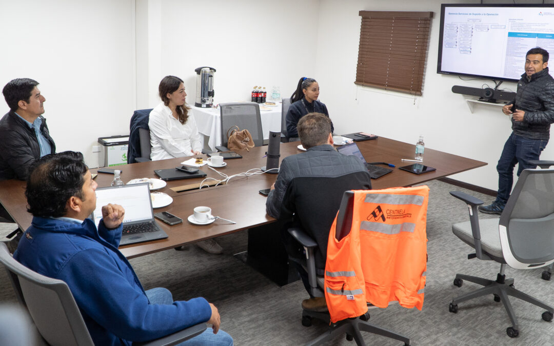 Verificación corporativa revisó controles críticos en labores de izaje